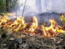 В Крыму ожидается чрезвычайная пожарная опасность В Крыму ожидается чрезвычайная пожарная опасность