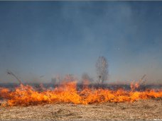 В Крыму местами сохраняется чрезвычайная пожароопасность