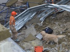 На месте обрушения крыши кадетского училища в Севастополе работают спасатели