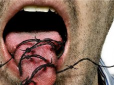 Крымчанин заплатит 20 тыс. рублей за оскорбление полицейского Крымчанин заплатит 20 тыс. рублей за оскорбление полицейского