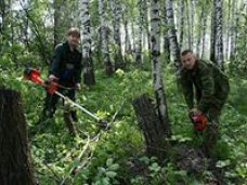 В Симферополе отметили день работников леса В Симферополе отметили день работников леса