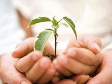 В Крыму заработал благотворительный фонд «Открытые сердца Крыма»