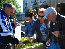 В Евпатории проводятся дни продажи яблок