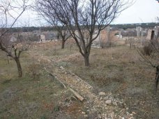 Крымчане, подавшие заявления на получение земельных участков до 16 марта, получат их бесплатно – Аксёнов