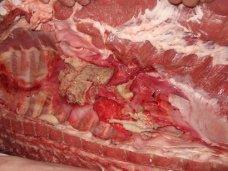 Россельхознадзор не пустил в Крым 15 тонн недоброкачественной свинины из Западной Украины