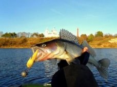 Госкомитет по рыболовству объявил о приеме заявлений на выделение рыбопромыслового участка Госкомитет по рыболовству объявил о приеме заявлений на выделение рыбопромыслового участка