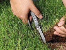 Прокуратура добилась отмены приватизации земли общего пользования в Ялте