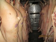 В Крым не пропустили 15 тонн недоброкачественной свинины из Украины