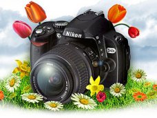 На фотоконкурс «Твоя Крымская весна» за первую неделю прислали более 500 работ На фотоконкурс «Твоя Крымская весна» за первую неделю прислали более 500 работ