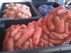 Грузопоток овощей из Украины в Крым увеличился вдвое