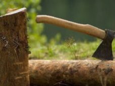 По материалам прокурорской проверки возбуждено уголовное дело о незаконной рубке леса в горном Крыму По материалам прокурорской проверки возбуждено уголовное дело о незаконной рубке леса в горном Крыму