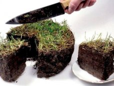 Утвержден порядок ведения очередности граждан на получение земельных участков Утвержден порядок ведения очередности граждан на получение земельных участков