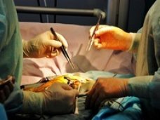 В Крыму впервые проведена уникальная нейрохирургическая операция