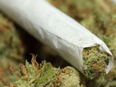 Житель Кировского района приговорен к 5 годам колонии за наркотики Житель Кировского района приговорен к 5 годам колонии за наркотики