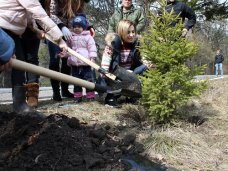 Поклонская посадила ели в крымском заповеднике Поклонская посадила ели в крымском заповеднике