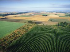 В Крыму проведут перепись сельхозугодий В Крыму проведут перепись сельхозугодий