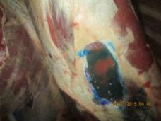 Россельхознадзор не попустил в Крым крупную партию испорченного мяса