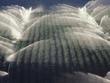 В Джанкойском районе планируют полить более 25 тысяч гектар орошаемых земель В Джанкойском районе планируют полить более 25 тысяч гектар орошаемых земель