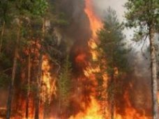 Госкомлес Крыма проводит мероприятия по предотвращению возгораний в горно-лесной зоне Крыма Госкомлес Крыма проводит мероприятия по предотвращению возгораний в горно-лесной зоне Крыма