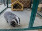 Коллекция зооуголка в Севастополе пополнилась новыми обитателями