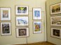 В Севастополе дети представили свои картины