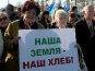 В Симферополе провели митинг в поддержку решения не подписывать соглашение об ассоциации с Евросоюзом