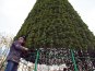 В Севастополе устанавливают 15-метровую елку