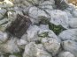 Вокруг аэропорта в Симферополе обнаружили свалки мусора