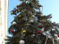 В Симферополе нарядили живую елку