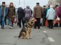 В Симферополе прошла предновогодняя ярмарка