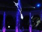 В симферопольском цирке открыли главную елку Крыма