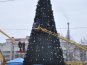 В Симферополе разбирают новогодние елки