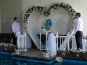 В Ялте состоялась первая в Украине свадьба дельфинов