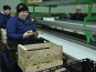 Продукция крымских товаропроизводителей конкурентоспособна и востребована, – Могилев