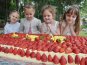 В детском саду Симферополя открылась первая смена летнего лагеря