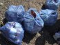 Симферопольская молодежь продолжает избавлять городское водохранилище от мусора