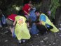 Симферопольская молодежь продолжает избавлять городское водохранилище от мусора
