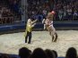 В Севастополе представили «Цирк огромных зверей»