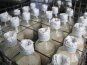 Единственная молочная кухня в Крыму под угрозой закрытия