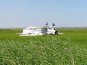 На рисовом поле в Крыму перевернулся «кукурузник»