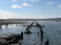В Крыму почистили берег Азовского моря