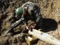 В Крыму уничтожили 2 тонны боеприпасов