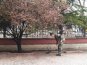 Крымские спасатели приняли участие в субботнике