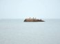 Вандалы отпилили часть затонувшего корабля-памятника в море у берегов Феодосии