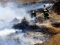 В Севастополе прошли учения по тушению лесного пожара